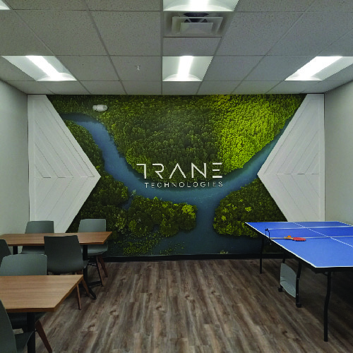 Wall Graphic With 3 Dimensional Structures